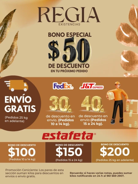 Mecanica