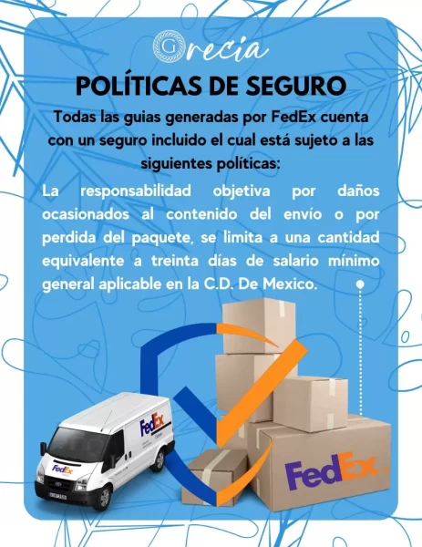 SEGURO FEDEX