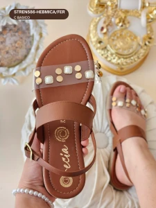 STREN586-HEBMICA/FER